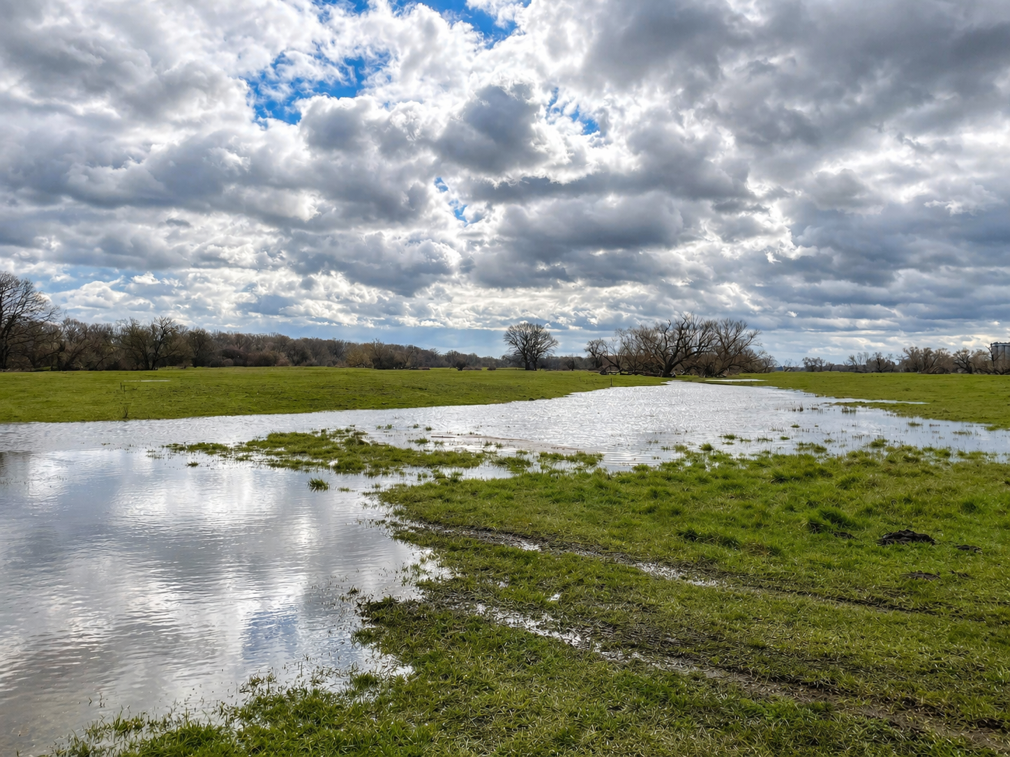 Figure 1. An inundated floodplain field